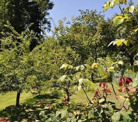 La Pineta Brissago Valtravaglia
