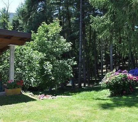 ベッド・アンド・ブレックファスト La Pineta Brissago Valtravaglia