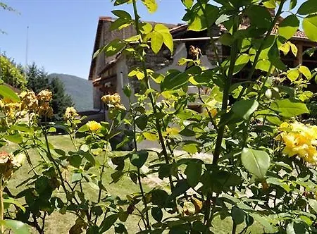 La Pineta ベッド・アンド・ブレックファスト Brissago Valtravaglia